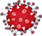 Bild 1 Coronavirus