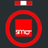 Bild National Icon
