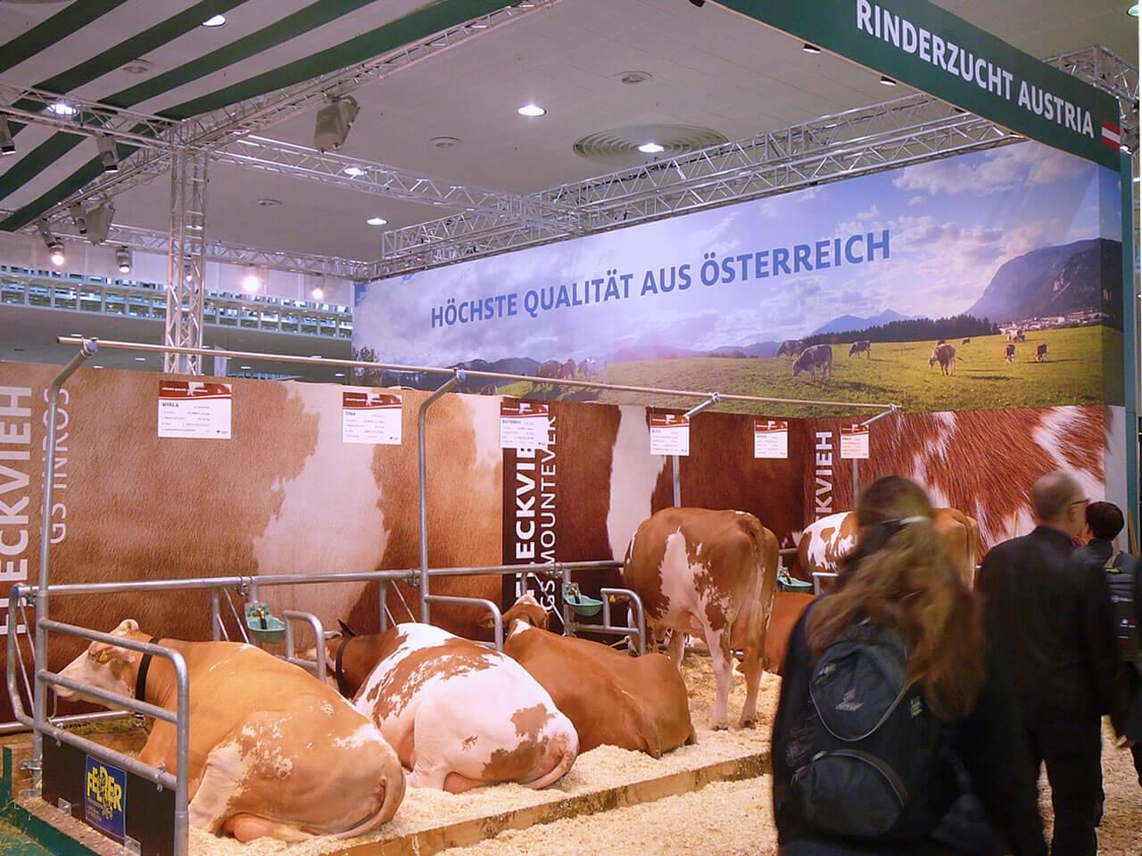 Bild Messestand